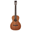 Richwood P-50 Parlor Master Serie