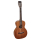 Richwood P-50 Parlor Master Serie