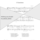 Weihnachtslieder aus aller Welt Klarinette Solo Duett VHR3505