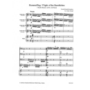 Rimskij-Korsakow Hummelflug Kontrabass-Quartett Klavier...
