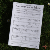 Thibaut Der Graf Geboren um zu leben! SA gallery