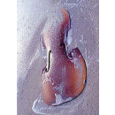 Cello im Sand Postkarte Wreck Cuba