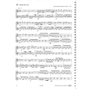 Duenser Trompeten Fuchs Trompetenfuchs 3 EH3803