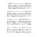 Vivaldi Concerto D-Dur op 10/3 F 6/14 RV 428 PV 155 FTR81