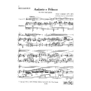 Czerny Andante e polacca E-Dur Horn Klavier DM517
