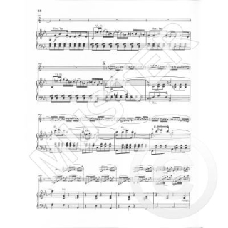Spohr Konzert 2 Es-Dur op 57 Klarinette Klavier HN996