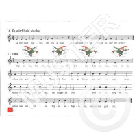 Voort + Oldenkamp + Kastelein Blockflötenland 1 DHP1033