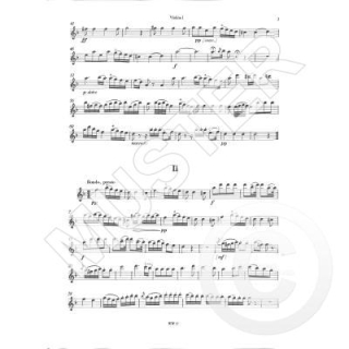 Rolla Trio d-moll 2 Violinen Viola WW57
