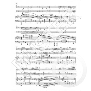 Bruch Trio C-Moll op 5 Violine Violoncello Klavier WW198
