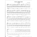 Riegler Originelle Choralvorspiele Gottesdienst und Konzert VS3414