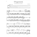 Floer ORGANUM Heavy Metal Sonate 2 Violoncelli