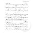 Holzer-Rhomberg Fiedel Max 6 Violine Audio VHR3873