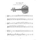 Holzer-Rhomberg Fiedel Max 4 Schule Violine Audio VHR3804