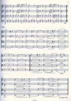 Pejtsik Romantische Quartettmusik für Anfänger EMB