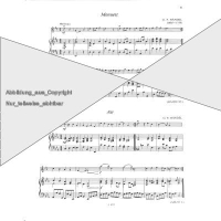 Lenkei Violinmusik für Anfänger 1 Violine Klavier 