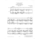 Sarasate Caprice Basque op 24 Violine Klavier VLB170