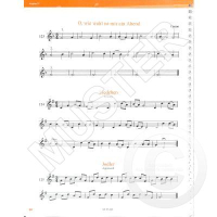 Gisler-Haase Die neue Magic Flute 1 Flöte CD UE35301 3