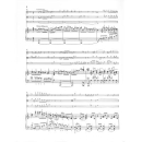 Mahler Klavierquartett a-moll Violine Viola Violoncello Klavier HN1228