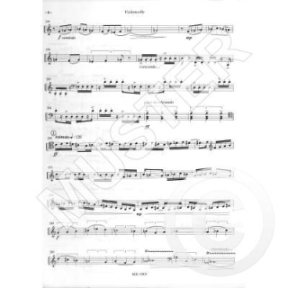 Boisgallais Sonate a Deux Violoncello Klavier ME9303