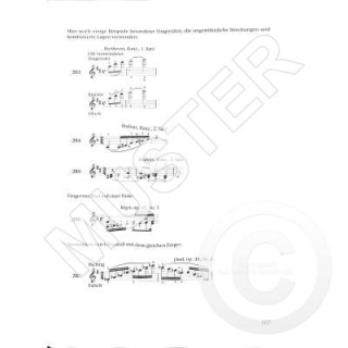 Flesch Die Kunst des Violinspiels kompakt RE00149