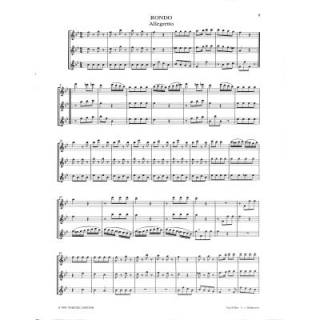 Beethoven Trio B-Dur Blockflöten AAA N3993