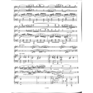 Doppler Andante et Rondo op 25 für 2 Flöten Klavier GB2165