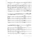 Molter Konzert B-Dur Fagott Streicher ACC1002B