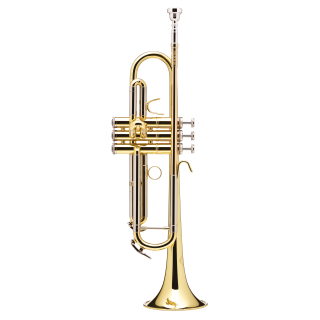 B&S BS210-1-0 Prodige Trumpet Bb