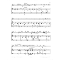 Weinzierl Flöte spielen Spielbuch D Klavier Audio SY294