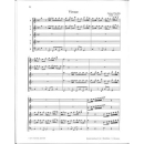 Herrmann Quintett Spielbuch 2 fünf Blockflöten N3978