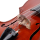 DAddario Spector Violin Mute Black