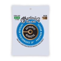 Martin Guitar MA-500 Authentic SP Akusti gallery