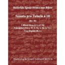 Biber Sonata pro tabula a 10 für 5 Blockflöten...