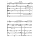Puccini Nessun Dorma Tenor String Quintet SON32-6