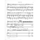 Sarasate Zigeunerweisen op 20 Pan Flute Piano SON46-2