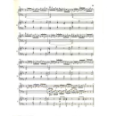 Mozart Klavierkonzert c-Moll KV 491 HN787