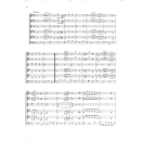 Haydn Divertimento in D 2 Flöten 2 Hörner 2 Violinen Basso HN607
