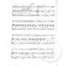 Brunthaler Vienna Woods Flöte Klavier CD 1423-07-400M
