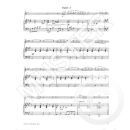 Brunthaler Vienna Woods Flöte Klavier CD 1423-07-400M
