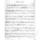 Rampe Orgel und Claviermusik am Salzburger Hof 1500-1800 BA8499