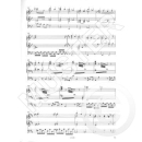 Michel-Ostertun Suite Romantique Orgel VS3455