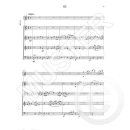 Benninghoff Reves Streicher Flöte FH2693