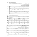 Rouger Französische Chormusik SATB Orgel CD CV2311