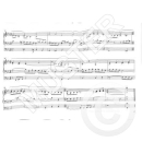 Michel Choralvorspiele aus Klassik und Romantik Orgel VS3020
