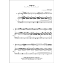 Vivaldi Largo Winter aus 4 Jahreszeiten Trompete Klavier NDV1303C