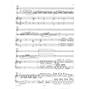 Donizetti Konzert d-Moll Violine Violoncello Klavier EP8293