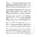 Vivaldi Concerto grosso E-Dur op 3/12 RV 265 F 1/179 Violine Klavier EP4379