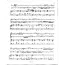 Bach Konzert d-Moll BWV 1043 für 2 Violinen Basso Continuo Audio DOW4503-404