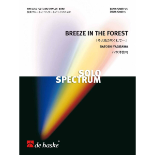 Yagisawa Breeze in the Forest Flöte Solo Concert Band DHP1195859-010