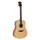 Bromo BAA1 Appalachian Series Dreadnought Gitarre